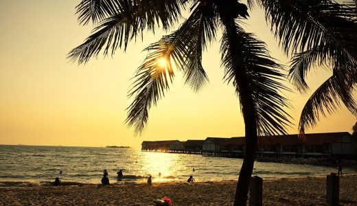 モンゴル侵攻後の東南アジア ─ 阮朝・アユタヤ朝・マラッカ王国【世界史】